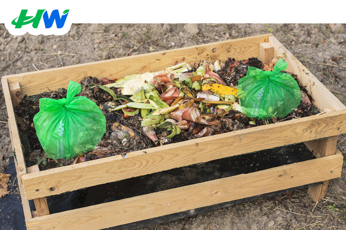 Compostable Bags - All The Advantages And Disadvantages
