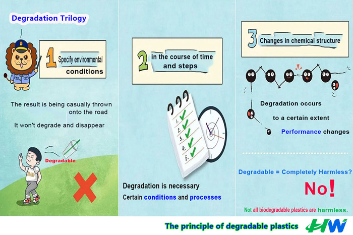 Do Biodegradable Bags Degrade in Any Environment?cid=6