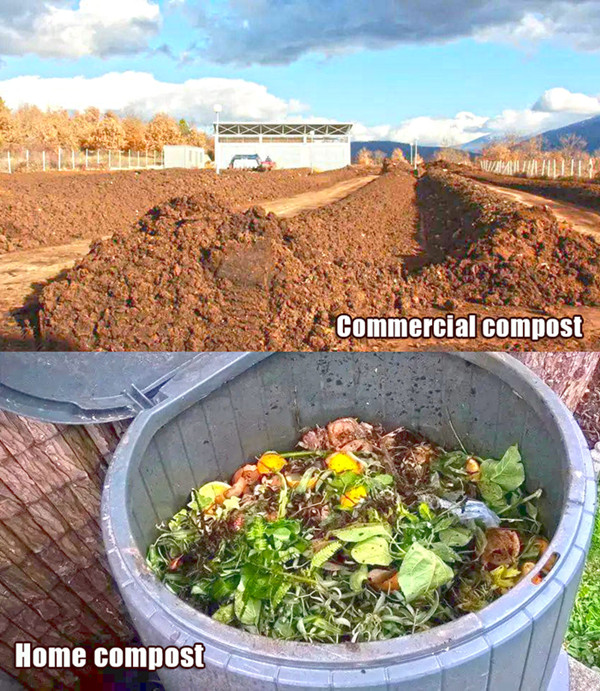 Can Commercial Compostable Products Be Disposed of In My Home Compost Bin?cid=6