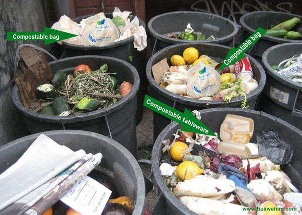 Can Commercial Compostable Products Be Disposed of In My Home Compost Bin?cid=6