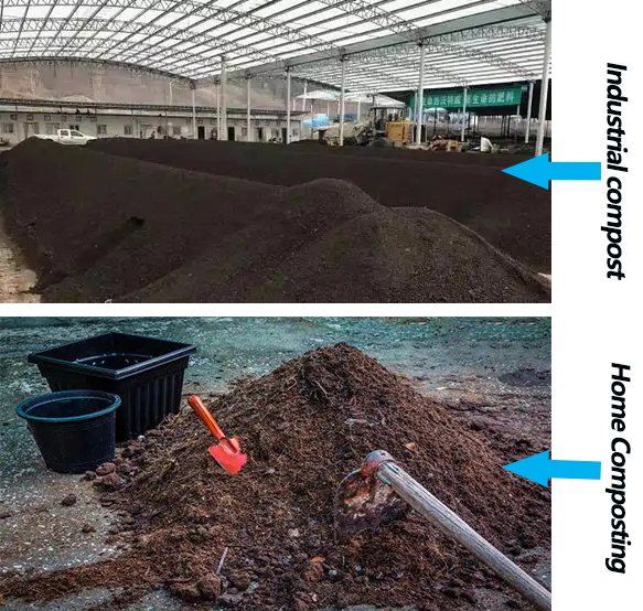 By 2025, The Global Production Capacity Of Biodegradable Plastics Will Reach 21.05 Million Tons Per Year