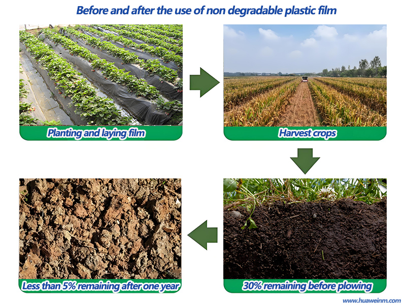 The Differences Between Biodegradable Mulch Film And Non-biodegradable Mulch Film